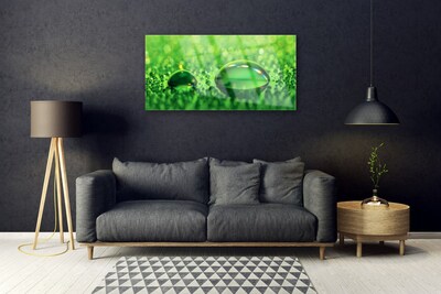 Acrylic Print Waterdrop art green