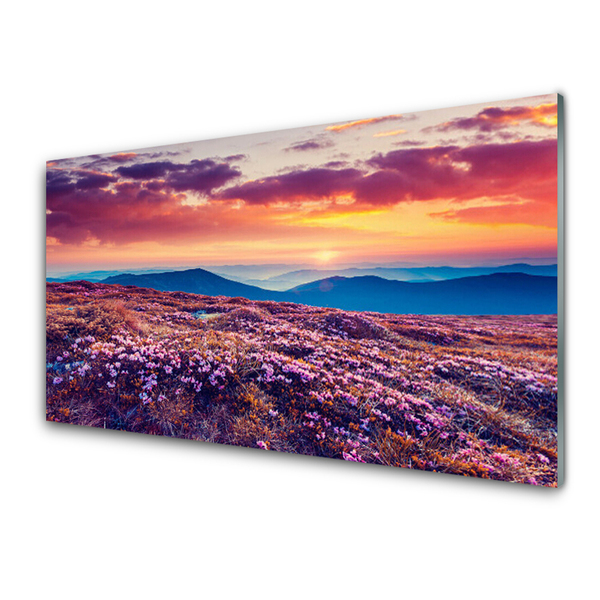 Acrylic Print Meadow mountain flowers nature purple blue orange