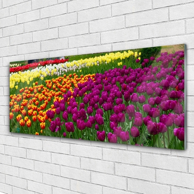 Acrylic Print Tulips floral yellow red green white