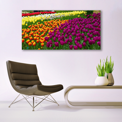 Acrylic Print Tulips floral yellow red green white