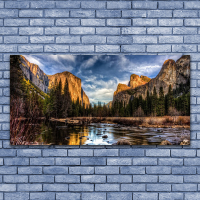 Acrylic Print Mountain forest lake nature green grey