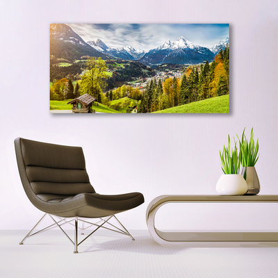 Acrylic Print Alps landscape green blue