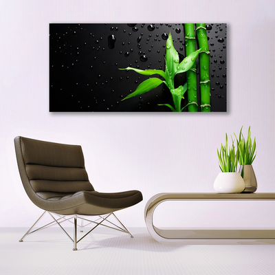 Acrylic Print Bamboo leaves floral green black