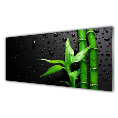 Acrylic Print Bamboo leaves floral green black