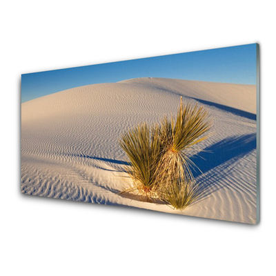 Acrylic Print Desert landscape brown green