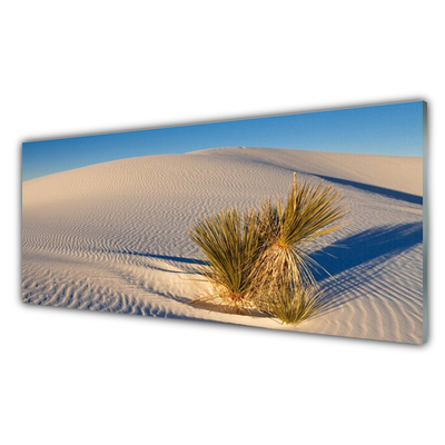 Acrylic Print Desert landscape brown green