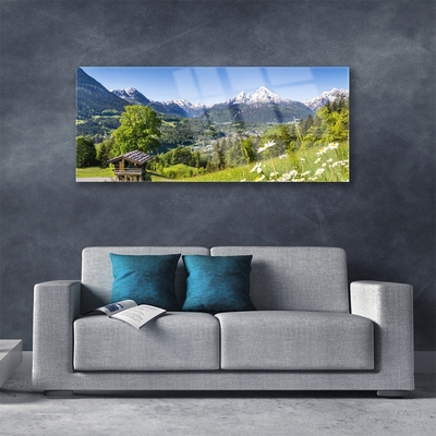 Acrylic Print Mountain fields nature green grey white