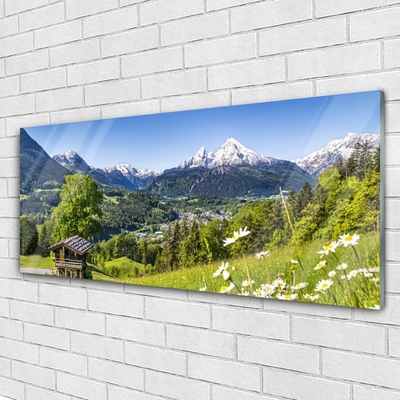 Acrylic Print Mountain fields nature green grey white