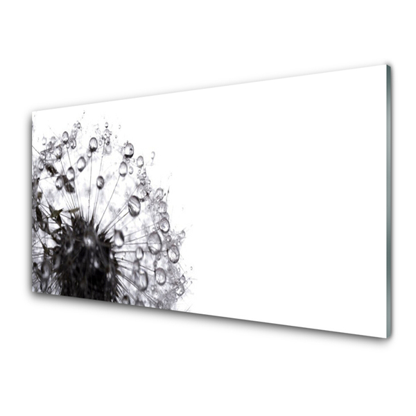 Acrylic Print Dandelion floral grey white