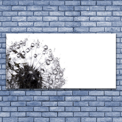 Acrylic Print Dandelion floral grey white