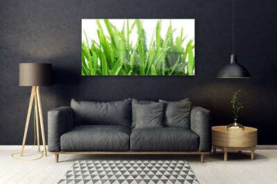 Acrylic Print Grass floral green