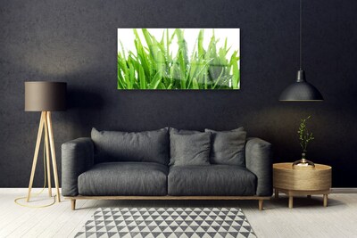 Acrylic Print Grass floral green