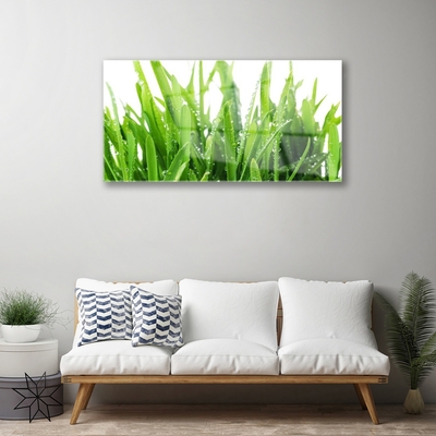 Acrylic Print Grass floral green