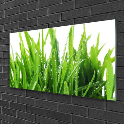 Acrylic Print Grass floral green