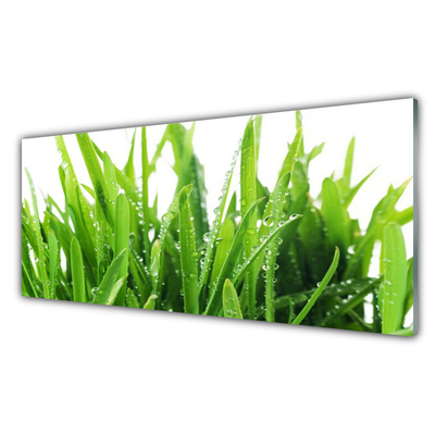 Acrylic Print Grass floral green