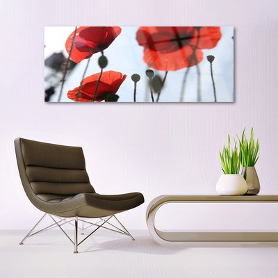 Acrylic Print Poppies floral red black