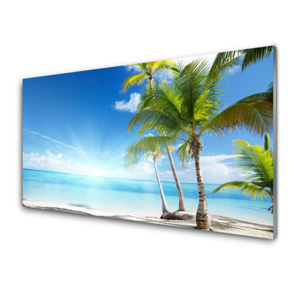 Acrylic Print Palm tree sea landscape blue brown green