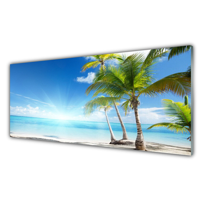 Acrylic Print Palm tree sea landscape blue brown green