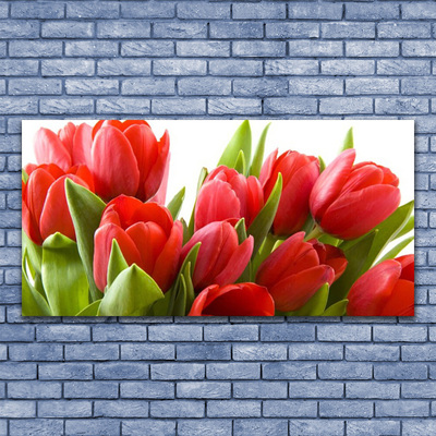 Acrylic Print Tulips floral red green