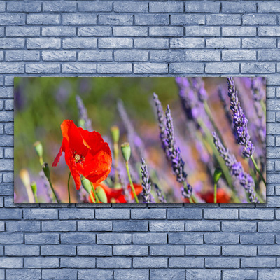 Acrylic Print Flowers floral red purple green