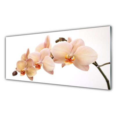 Acrylic Print Flowers floral white brown