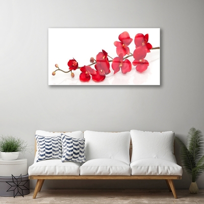 Acrylic Print Flowers floral red