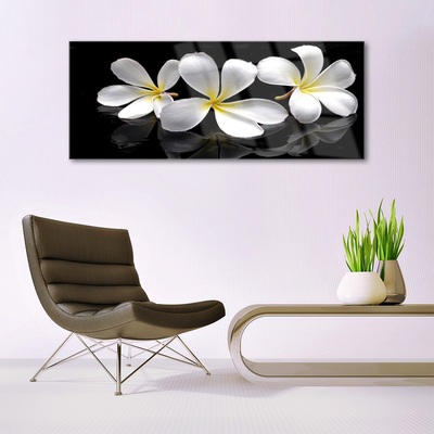 Acrylic Print Flowers floral white black