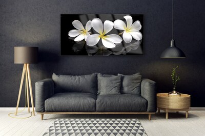 Acrylic Print Flowers floral white black