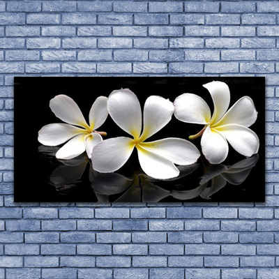 Acrylic Print Flowers floral white black