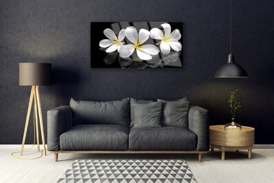 Acrylic Print Flowers floral white black