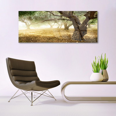 Acrylic Print Trees grass nature green brown