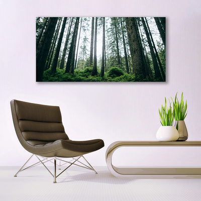 Acrylic Print Forest nature brown green