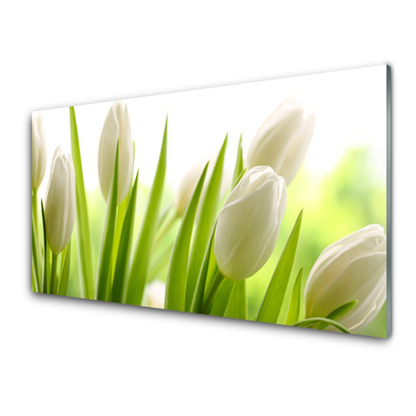 Acrylic Print Tulips floral white green
