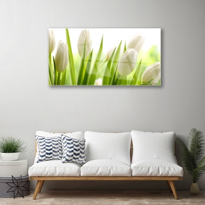 Acrylic Print Tulips floral white green