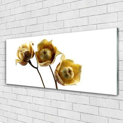 Acrylic Print Flowers floral green brown