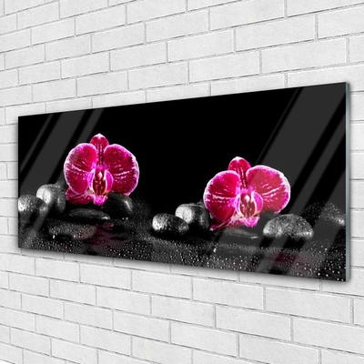 Acrylic Print Flower stones floral black red