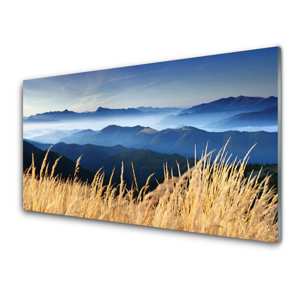 Acrylic Print Field landscape blue white yellow