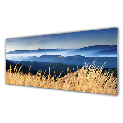 Acrylic Print Field landscape blue white yellow