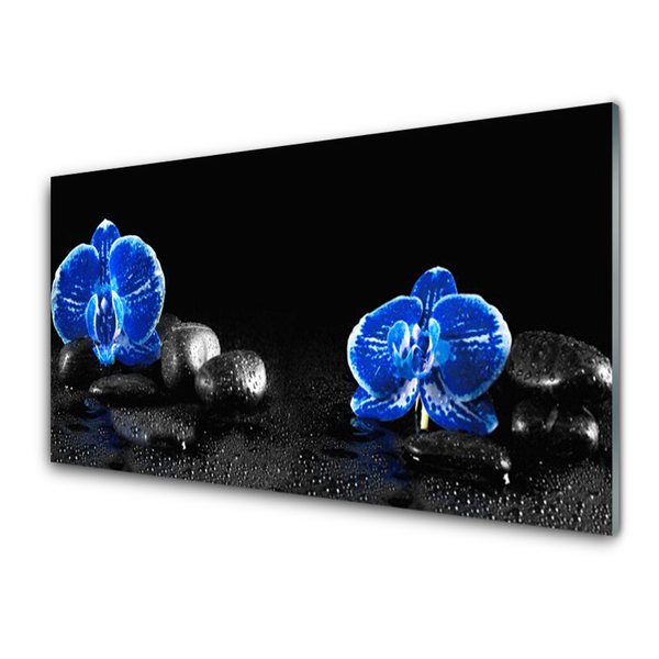 Acrylic Print Flower stones floral blue black