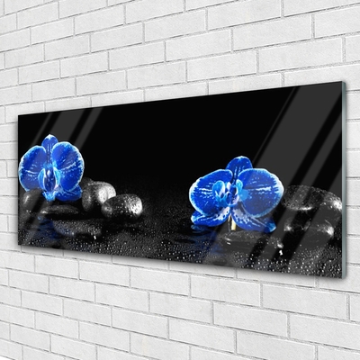 Acrylic Print Flower stones floral blue black