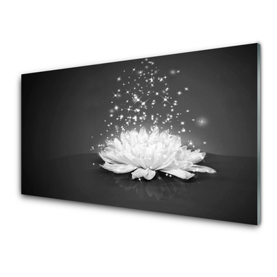 Acrylic Print Flower floral white grey