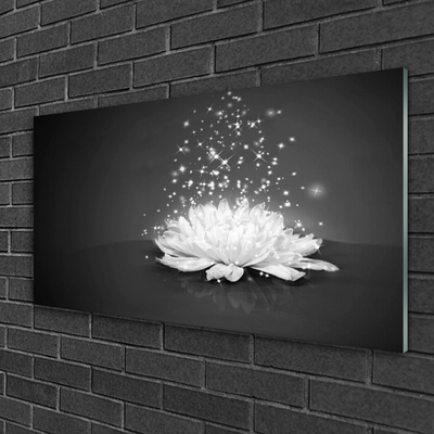 Acrylic Print Flower floral white grey