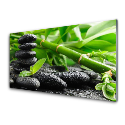 Acrylic Print Bamboo stones floral green black