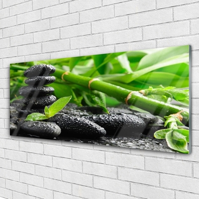 Acrylic Print Bamboo stones floral green black