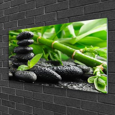 Acrylic Print Bamboo stones floral green black