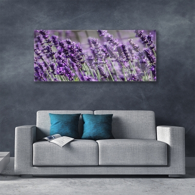 Acrylic Print Flowers floral purple