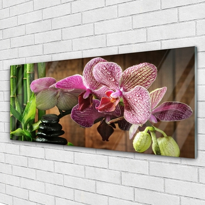 Acrylic Print Flowers bamboo stones floral green black pink