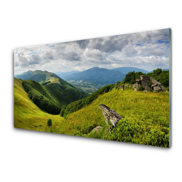 Acrylic Print Mountain meadow landscape green grey