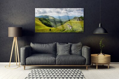 Acrylic Print Mountain meadow landscape green grey