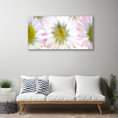 Acrylic Print Daisy floral green grey white